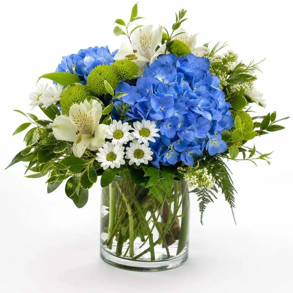Compact clear glass arrangement with cerulean blue hydrangea, white daisies, and green-yellow accents